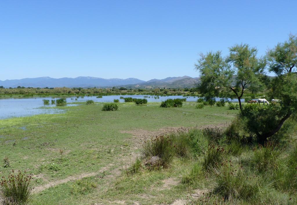 Hotel Can Ceret Sant Pere Pescador Kültér fotó